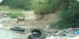 HALLAN CIENTOS DE PECES MUERTOS EN LA PRESA MARTE R. GÓMEZ; PIDEN SANCIONES CONTRA RESPONSABLES