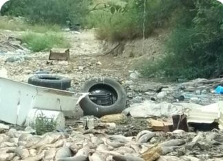 HALLAN CIENTOS DE PECES MUERTOS EN LA PRESA MARTE R. GÓMEZ; PIDEN SANCIONES CONTRA RESPONSABLES