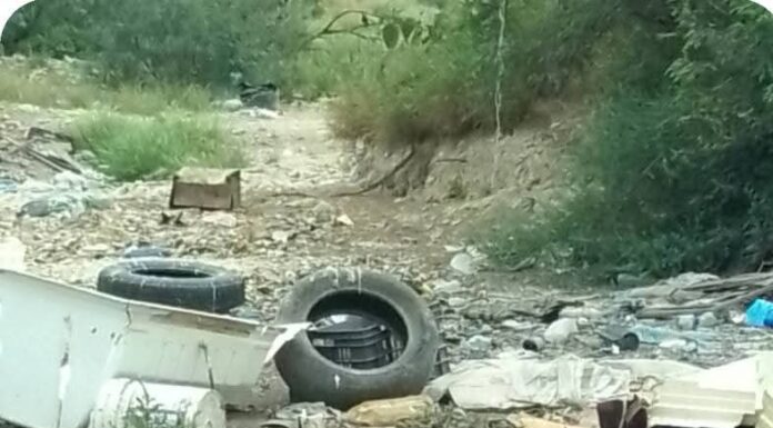 HALLAN CIENTOS DE PECES MUERTOS EN LA PRESA MARTE R. GÓMEZ; PIDEN SANCIONES CONTRA RESPONSABLES
