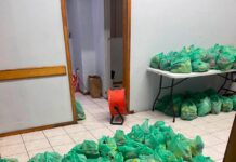 REPARTIRÁN PAQUETES DE FRUTAS Y VERDURAS A FAMILIAS DE MIGUEL ALEMÁN