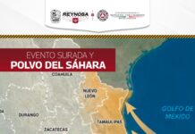 PRONOSTICAN SERVICIOS METEOROLÓGICOS INTENSOS VIENTOS DEL SUR Y POLVO DEL SÁHARA