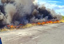 EXHORTA PCyB A EVITAR INCENDIOS EN REYNOSA