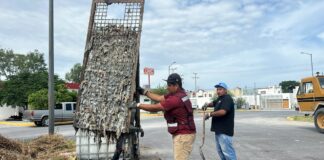 PREVIENE COMAPA OBSTRUCCIONES CON MANTENIMIENTO EN ESTACIÓN DE BOMBEO