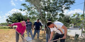 REFORESTA DIRECCIÓN DE MEDIO AMBIENTE LA COLONIA VENTURA