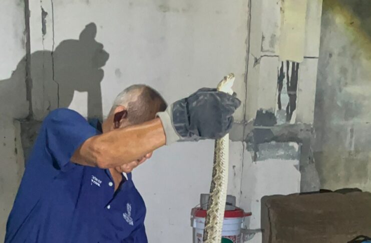 ADVIERTE GOBIERNO DE REYNOSA MAYOR PRESENCIA DE VÍBORAS EN ÁREAS HABITACIONALES