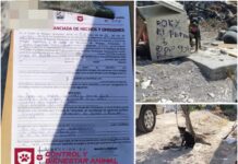IMPARABLE ATENCIÓN A MASCOTAS DE PARTE DEL GOBIERNO DE REYNOSA