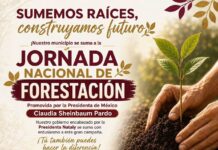 🌳 Gustavo Díaz Ordaz se suma a la Jornada Nacional de Forestación