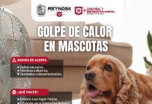 FOMENTA GOBIERNO DE CARLOS PEÑA ORTIZ CUIDADO DE MASCOTAS POR ALTAS TEMPERATURAS