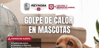 FOMENTA GOBIERNO DE CARLOS PEÑA ORTIZ CUIDADO DE MASCOTAS POR ALTAS TEMPERATURAS
