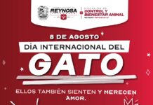 EXHORTA GOBIERNO DE REYNOSA A NO MALTRATAR A LOS ANIMALES