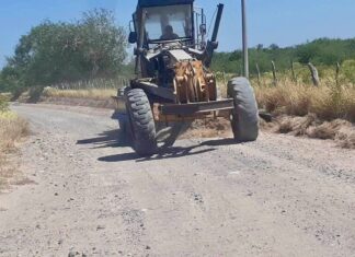 REHABILITAN BRECHAS RURALES PARA MEJORAR MOVILIDAD DE FAMILIAS EN DÍAZ ORDAZ
