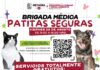 ATENDERÁ PATITAS SEGURAS A MASCOTAS DE HACIENDA DEL SOL