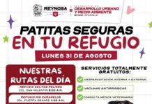 IMPULSA GOBIERNO DE CARLOS PEÑA ORTIZ ATENCIÓN VETERINARIA CON PATITAS SEGURAS EN TU REFUGIO