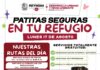 BRINDARÁ GOBIERNO DE REYNOSA ATENCIÓN VETERINARIA GRATUITA A MÁS REFUGIOS
