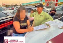 EXHORTA GOBIERNO DE REYNOSA A NO DEJAR MASCOTAS ATRAPADAS EN VEHÍCULOS