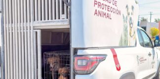 CONTINÚA GOBIERNO DE CARLOS PEÑA ORTIZ CON ACCIONES DE PROTECCIÓN ANIMAL EN VALLE SOLEADO