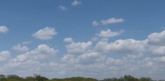 DETECTÓ PATRULLA AMBIENTAL BASURERO CLANDESTINO