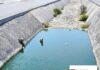 PONE GOBIERNO DE CARLOS PEÑA ORTIZ A SALVO A CANINO ATRAPADO EN CANAL DE PUERTA GRANDE