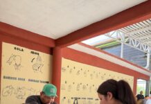 PROMUEVE MEDIO AMBIENTE REFORESTACIÓN EN DIF EN TU COLONIA