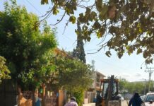 EXHORTA COMAPA REYNOSA A CUIDAR LAS REDES SANITARIAS EVITANDO ARROJAR DESECHOS A LAS ALCANTARILLAS