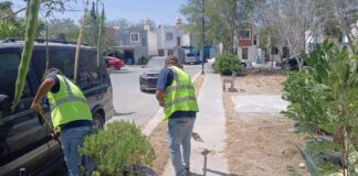 LIMPIEZA DE REYNOSA, UNA TAREA QUE INVOLUCRA A GOBIERNO Y CIUDADANÍA