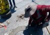 INSTALA COMAPA NUEVOS BROCALES EN DISTINTOS SECTORES DE LA CIUDAD
