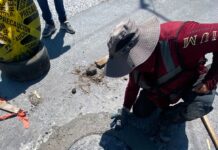 INSTALA COMAPA NUEVOS BROCALES EN DISTINTOS SECTORES DE LA CIUDAD