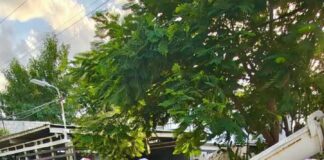 AVANZA PAVIMENTACIÓN DE LA CALLE EMILIO PORTES GIL EN REYNOSA