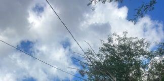 REPARAN ALUMBRADO PÚBLICO EN LA COLONIA OBRERA DE REYNOSA