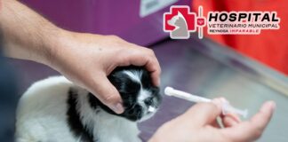 PROMUEVE ALCALDE DE REYNOSA ATENCIÓN DEL HOSPITAL VETERINARIO MUNICIPAL