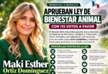 MAKI ORTIZ CELEBRA APROBACIÓN DE LEY DE BIENESTAR ANIMAL; SENADO LA AVALA CON 115 VOTOS