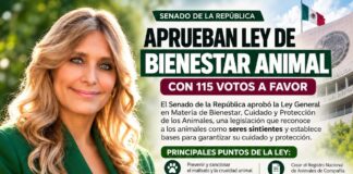MAKI ORTIZ CELEBRA APROBACIÓN DE LEY DE BIENESTAR ANIMAL; SENADO LA AVALA CON 115 VOTOS