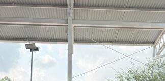 IMPULSAN REFORESTACIÓN ENTRE JÓVENES UNIVERSITARIOS DE REYNOSA
