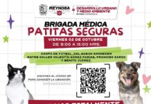LLEVARÁ GOBIERNO DE CARLOS PEÑA ORTIZ BRIGADA MÉDICA PATITAS SEGURAS A LA NUEVO AMANECER