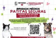LLEVARÁ BRIGADA PATITAS SEGURAS ATENCIÓN GRATUITA AL EJIDO DOROTEO ARANGO