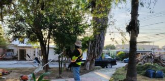 REALIZAN LIMPIEZA INTEGRAL EN PLAZA DEL FRACCIONAMIENTO FUENTES COLONIALES
