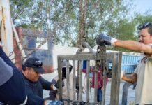 REALIZÓ COMAPA LIMPIEZA PREVENTIVA EN ESTACIONES DE BOMBEO DE AGUAS RESIDUALES