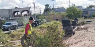 LIMPIA DE ÁREA VERDE DE LA AVENIDA REVOLUCIÓN EN LA 16 DE SEPTIEMBRE