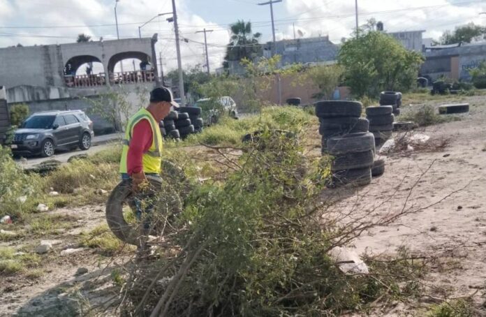 IMG-20261012-WA0047