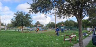 REALIZAN LABORES DE LIMPIEZA EN ÁREA VERDE DE LA COLONIA TAMAULIPAS, EN REYNOSA