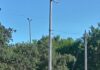 REALIZAN LABORES DE LIMPIEZA EN PLAZA DE JARACHINA NORTE EN REYNOSA
