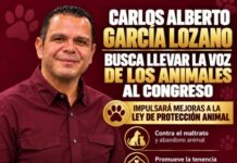 BUSCA CARLOS ALBERTO GARCÍA LOZANO LLEVAR LA VOZ DE LA PROTECCIÓN ANIMAL AL CONGRESO