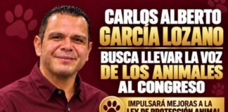 BUSCA CARLOS ALBERTO GARCÍA LOZANO LLEVAR LA VOZ DE LA PROTECCIÓN ANIMAL AL CONGRESO