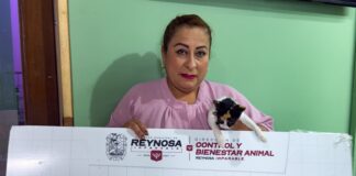 BRINDÓ GOBIERNO DE CARLOS PEÑA ORTIZ SERVICIOS DE ESTERILIZACIÓN A LA CASITA DE Tía LILY