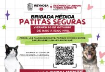 INVITA GOBIERNO DE CARLOS PEÑA ORTIZ A LA BRIGADA MÉDICA PATITAS SEGURAS EN LAS PALMAS DIAMANTE