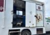 RESCATÓ DIRECCIÓN DE CONTROL Y BIENESTAR ANIMAL A CANINO LESIONADO EN LA CARRETERA CALZADA VICTORIA
