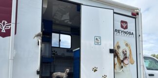 RESCATÓ DIRECCIÓN DE CONTROL Y BIENESTAR ANIMAL A CANINO LESIONADO EN LA CARRETERA CALZADA VICTORIA