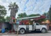 REFUERZA GOBIERNO DE REYNOSA PODA PREVENTIVA DE ÁRBOLES Y PALMERAS PARA PREVENIR ACCIDENTES